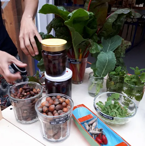 Bocaux de récoltes et herbes fraîches
